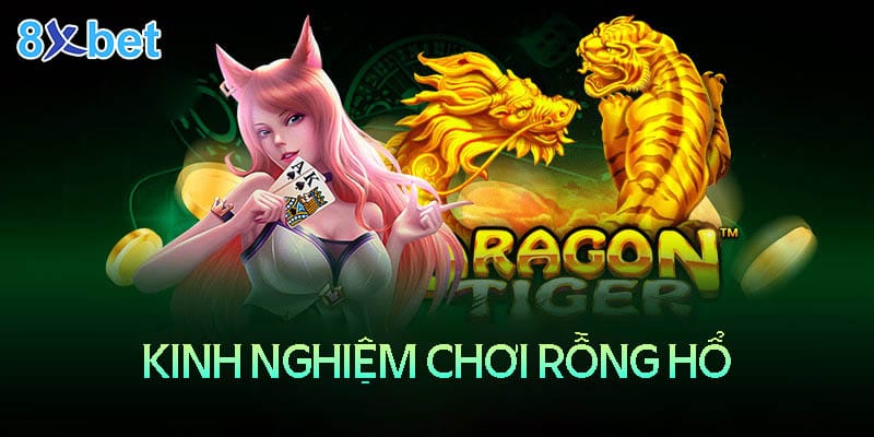 8xbet Casino – Luật chơi rồng hổ online và bí quyết chiến thắng 3 Kinh nghiệm chơi rồng hổ 8XBet Casino luôn thắng lớn