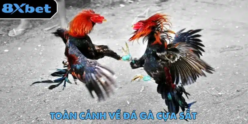 Đá Gà Cựa Sắt – Màn Giải Trí Gay Cấn Không Thể Bỏ Lỡ 2 Đá gà cựa sắt được người chơi yêu thích nhờ ứng dụng livestream hiện đại